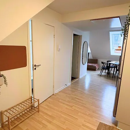 Cozy 1 In The Heart Of Apartment Odense